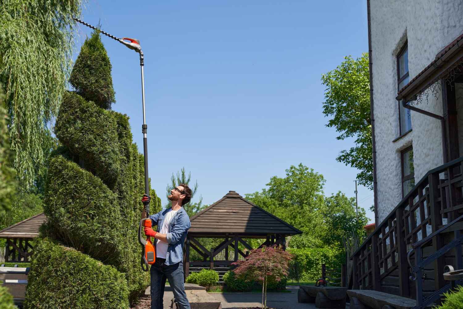 The Steps Involved in Our Tree Care Process in Castle Pines Village, CO